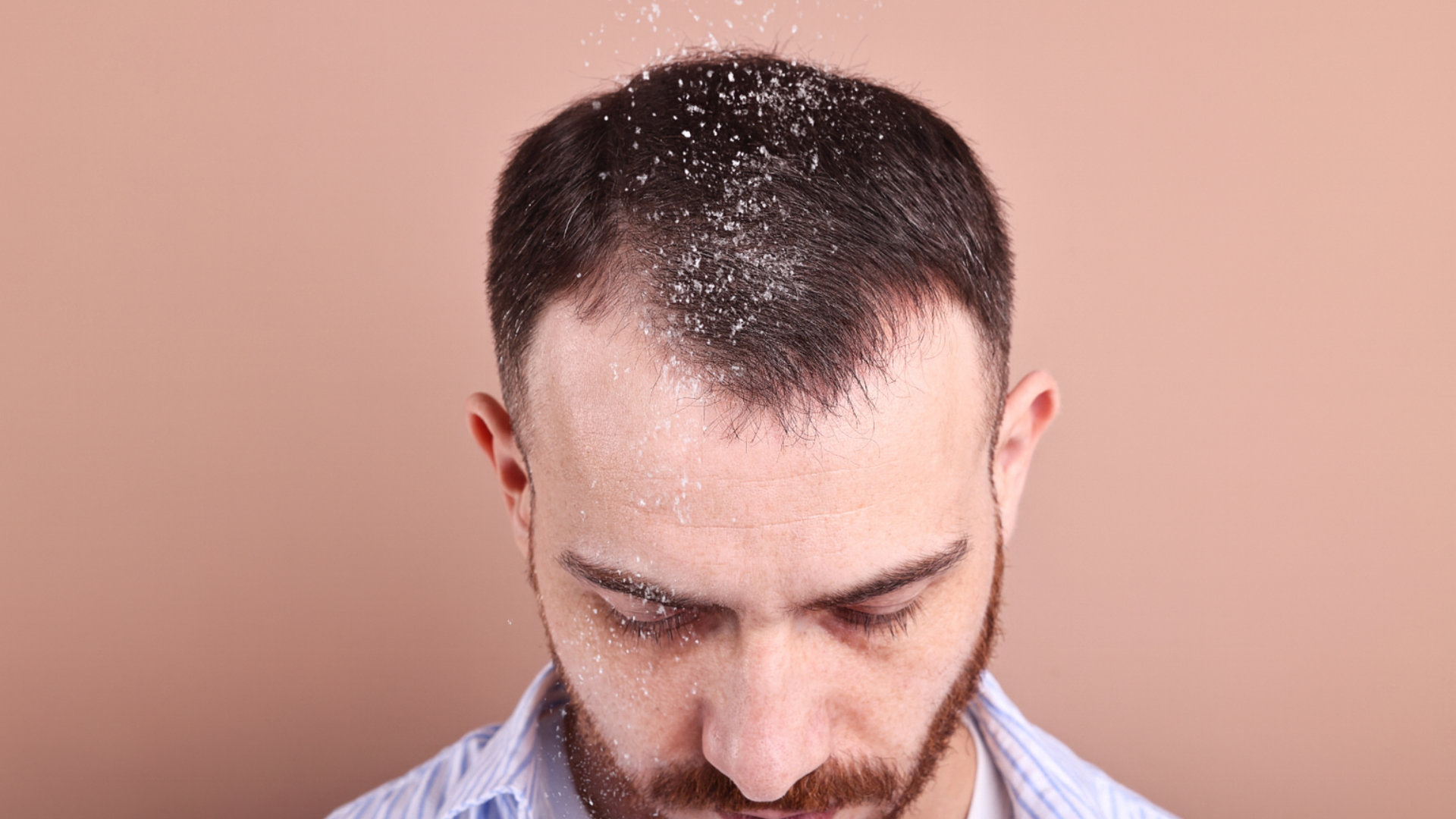 ¡El polvo texturizador podría estar dañando tu pelo!